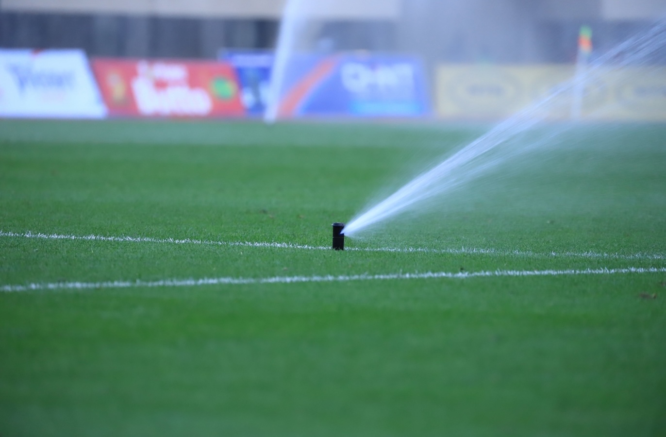 players on the pitch